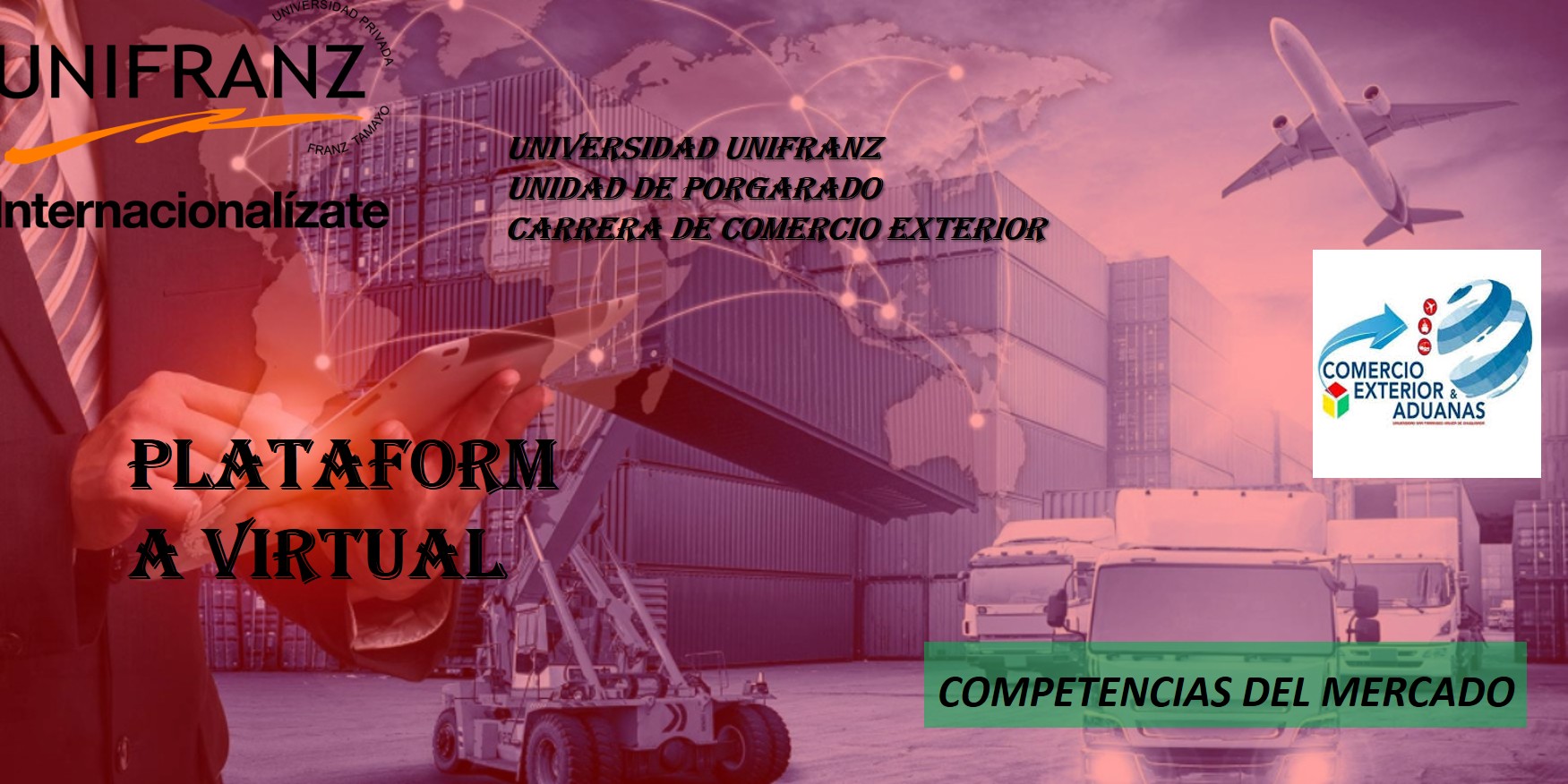 PLATAFORMA VIRTUAL
